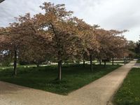 Kurpark_Bild07