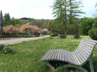 Kurpark_Bild03